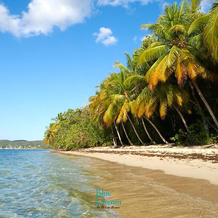 Kawan Nid - Tout Confort, Plage A 2 Min A Pied, Piscine, Wifi, Climatisation グラン＝ブール エクステリア 写真